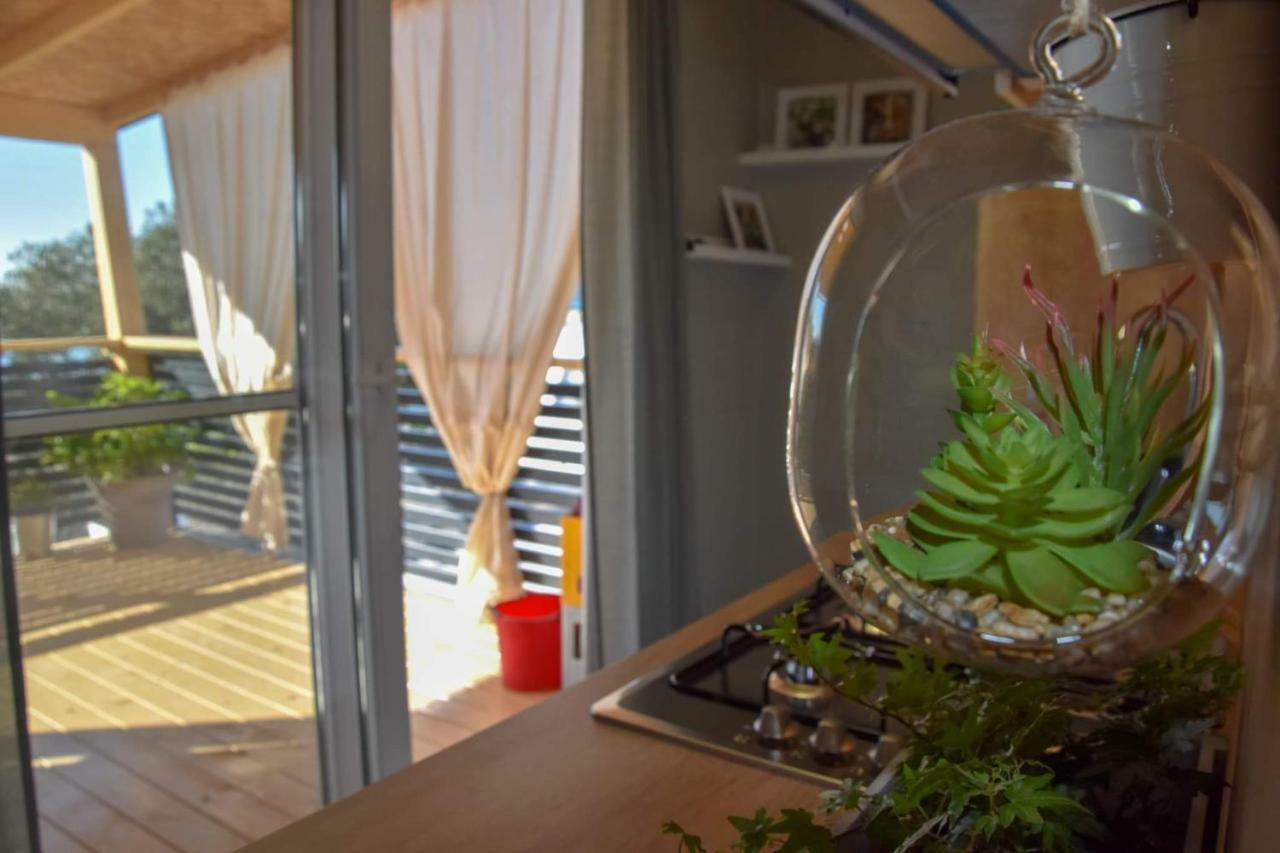 Mobile Home Laura 티스노 외부 사진